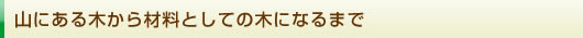 山にある木から材料としての木になるまで